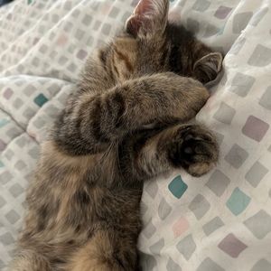 Meet your Posher, Michele